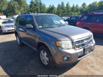  Salvage Ford Escape