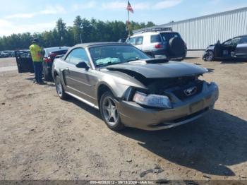  Salvage Ford Mustang