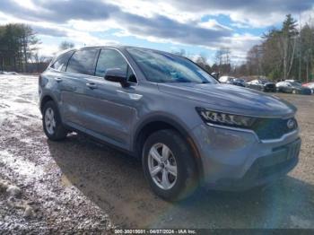  Salvage Kia Sorento