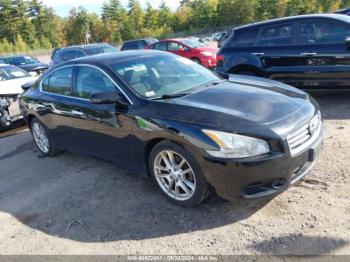  Salvage Nissan Maxima