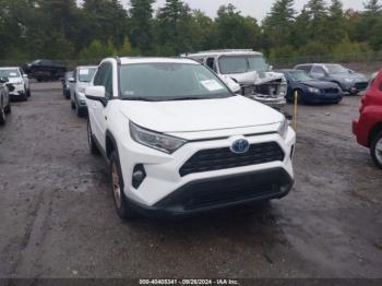  Salvage Toyota RAV4