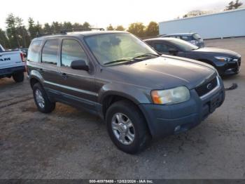  Salvage Ford Escape