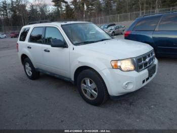  Salvage Ford Escape