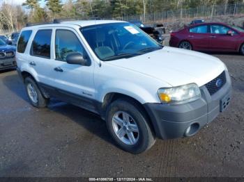  Salvage Ford Escape