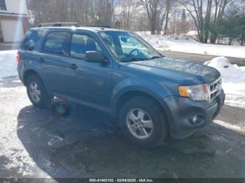  Salvage Ford Escape