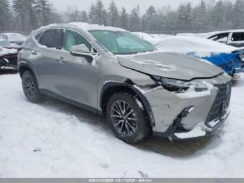  Salvage Lexus NX