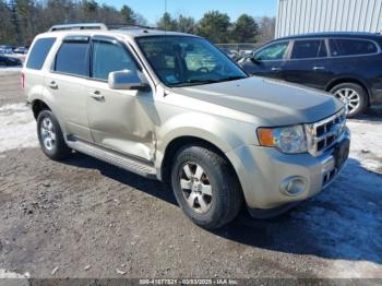  Salvage Ford Escape