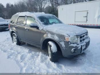  Salvage Ford Escape