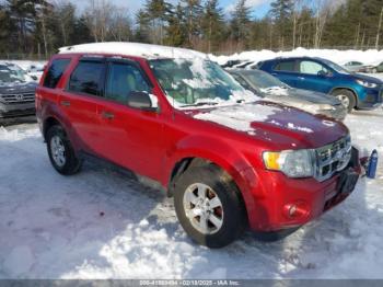  Salvage Ford Escape