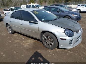  Salvage Dodge Neon