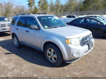  Salvage Ford Escape