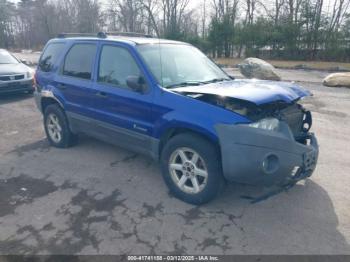  Salvage Ford Escape