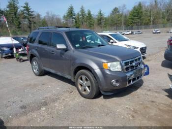  Salvage Ford Escape