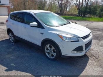  Salvage Ford Escape