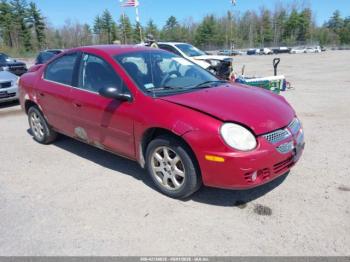  Salvage Dodge Neon