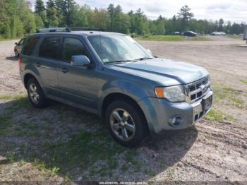  Salvage Ford Escape