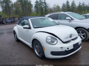  Salvage Volkswagen Beetle