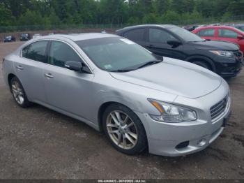  Salvage Nissan Maxima