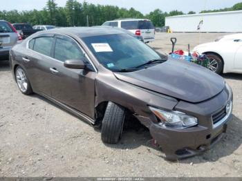  Salvage Nissan Maxima