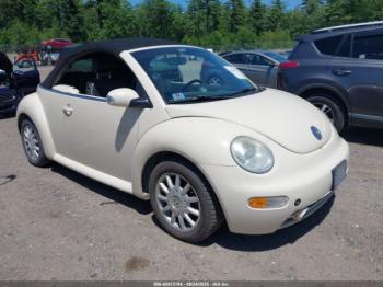  Salvage Volkswagen Beetle