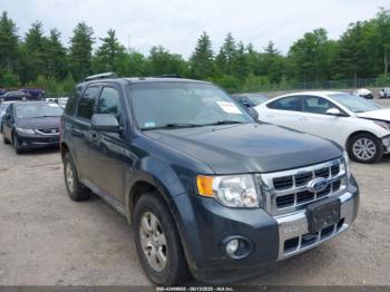  Salvage Ford Escape