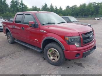  Salvage Ford F-150