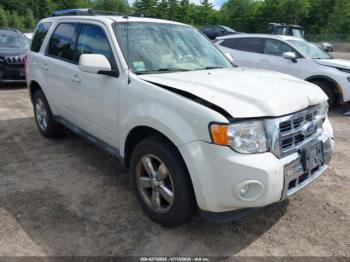  Salvage Ford Escape
