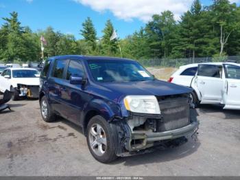  Salvage Honda Pilot