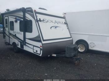  Salvage Palomino Other