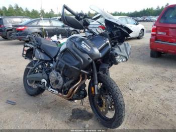  Salvage Yamaha Xt1200ze