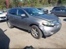 Nissan Murano S Image 1