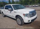 Ford F-150 Platinum Image 1