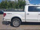 Ford F-150 Platinum Image 15