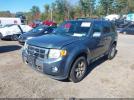 Ford Escape Limited Image 10