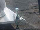 Frontier Horse Trailer Image 16