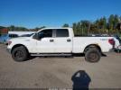Ford F-150 Xlt Image 8