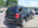 Ford Escape Xlt Image 5