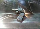 Peterbilt 389 Image 7