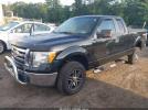 Ford F-150 Xlt Image 3