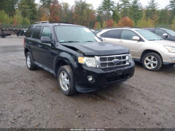  Salvage Ford Escape