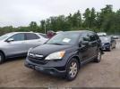 Honda CR-V Ex Image 13