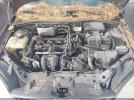 Ford Focus Image 11