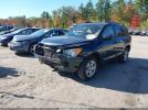 Toyota RAV4 Image 4