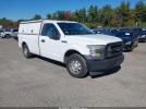 Ford F-150 Xl Image 1