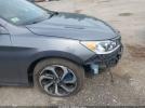 Honda Accord Ex-l Image 14