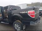Ford F-150 Xlt Image 19