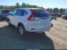 Honda CR-V Ex Image 6