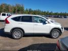 Honda CR-V Ex Image 16