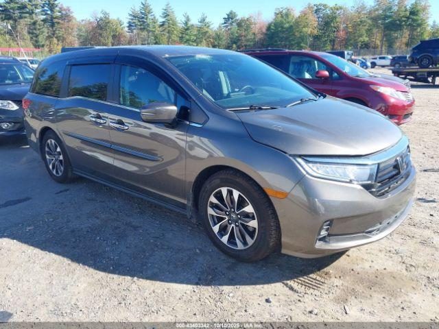  Salvage Honda Odyssey