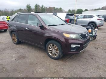  Salvage Kia Sorento